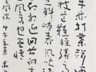 书画家严浩书法作品