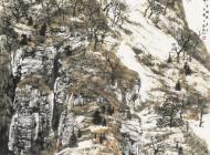 白云乡《疏林寒山》179×96cm 2007年