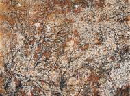 姚思敏《 秋天的况味》200×170cm 2009年