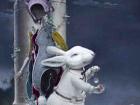 郭维国—白兔望月图