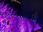 花城之夜