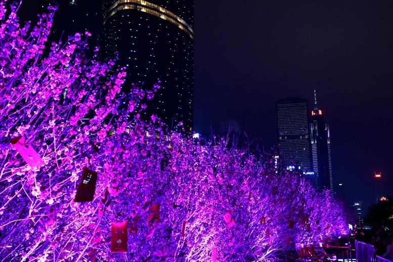花城之夜