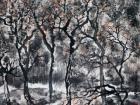 画家杜晓春山水作品