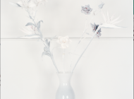 「Fake Flowers in Full Colour」，Jaap Scheeren & Hans