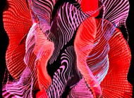 展览作品