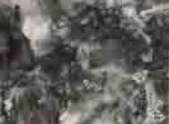 丁一鸣-灵溪幽泛