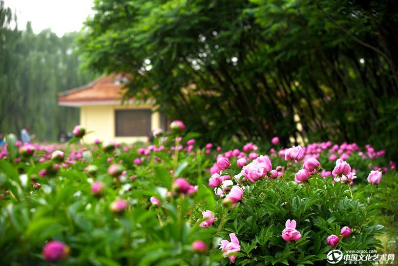 美好时节