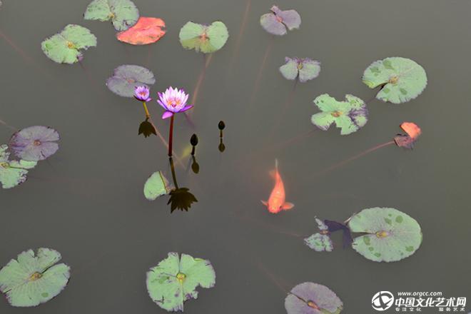 小家