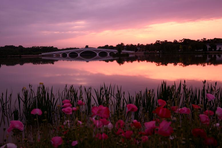 濮上晚霞