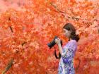 写生