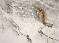 蘇柏斗 冬雪 