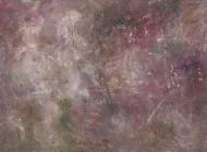 《暗香》 浮图耩 120*200cm 2011年作