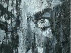 李平作品