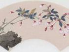 垂丝海棠