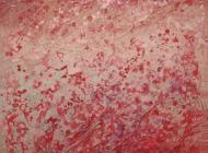 王晓蓉 《乱红二》100X80CM布面综合材料2010年