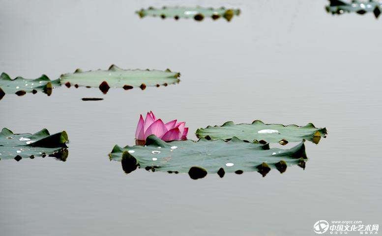 轻浮