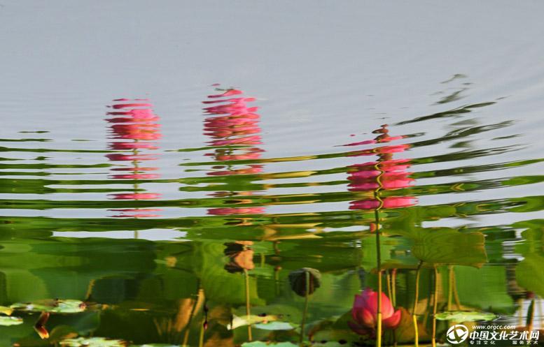 荡漾