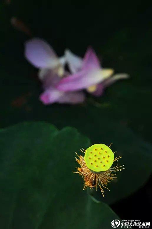别去