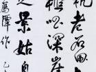 书法家朱永正作品《望白雁潭》
