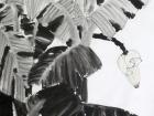盛夏180x97