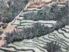 《八闽大地》