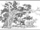 010.黄庭坚系舟亭