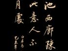 白居易《池畔 》