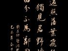 刘长卿《 碧涧别墅喜皇甫侍御相访》