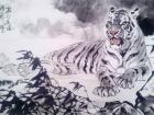 谭又明作品