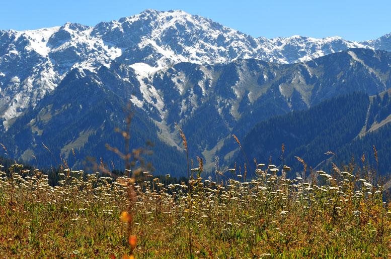雪山之下