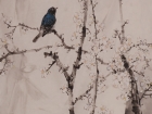 《春鸟一啭有千声》68x135cm