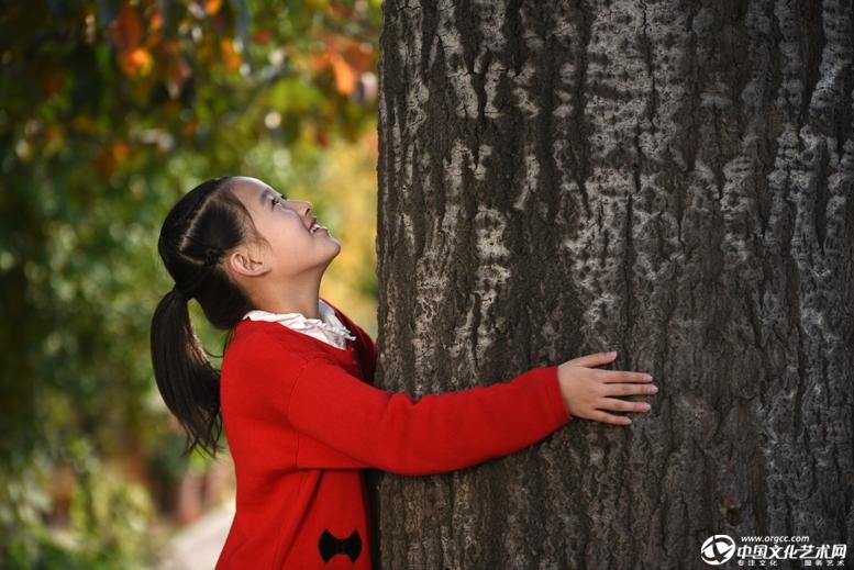 憧憬