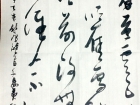 胡三才书法