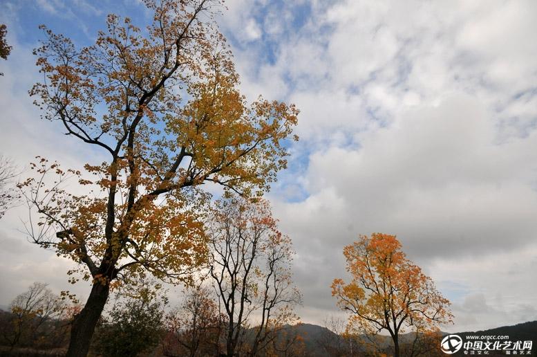 初冬的原野