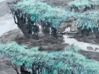蒋少鹏作品