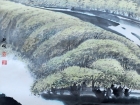 湖汊柳