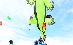 组图：呼和浩特市举行首届<b>草原</b>风筝文化节
