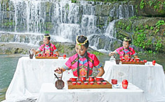 “中国茉莉之乡”广西<b>横县</b>举办茉莉花文化节