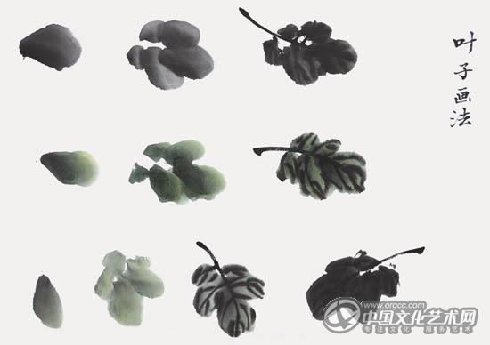 索铁生教你画花鸟(四)——菊花画法