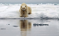 美<b>摄影作品展</b>现极地冰川融化震撼景象