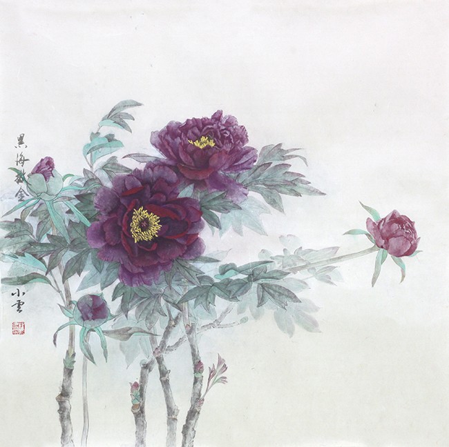 17黑海撒金-杨小云 (1).jpg