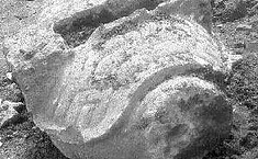 南京渣土场惊现明代赑屃 <b>文物部门</b>已回收