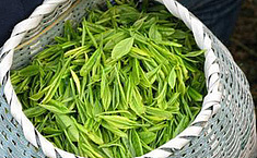 茶叶收藏引<b>热点</b> 金融化手段跃跃欲试