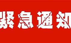 南京国际美术展启动紧急预案：截稿<b>日期</b>顺延
