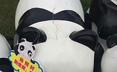 <b>都江堰</b>熊猫雕塑刚来8天遭坐烂已不堪重负