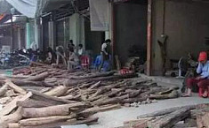 <b>越南</b>原木市场 在绝望中坚守