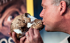 南非<b>洞穴</b>内发现之前未知人类新物种化石  