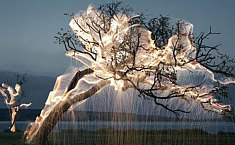 <b>巴西</b>摄影师用相机点燃火树银花
