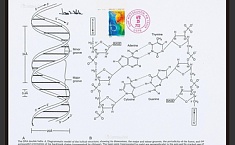 美国研究<b>DNA</b>签名替代艺术家签名防赝品