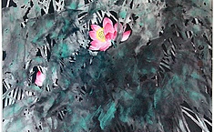 老韩说艺  诗意<b>荷花</b>